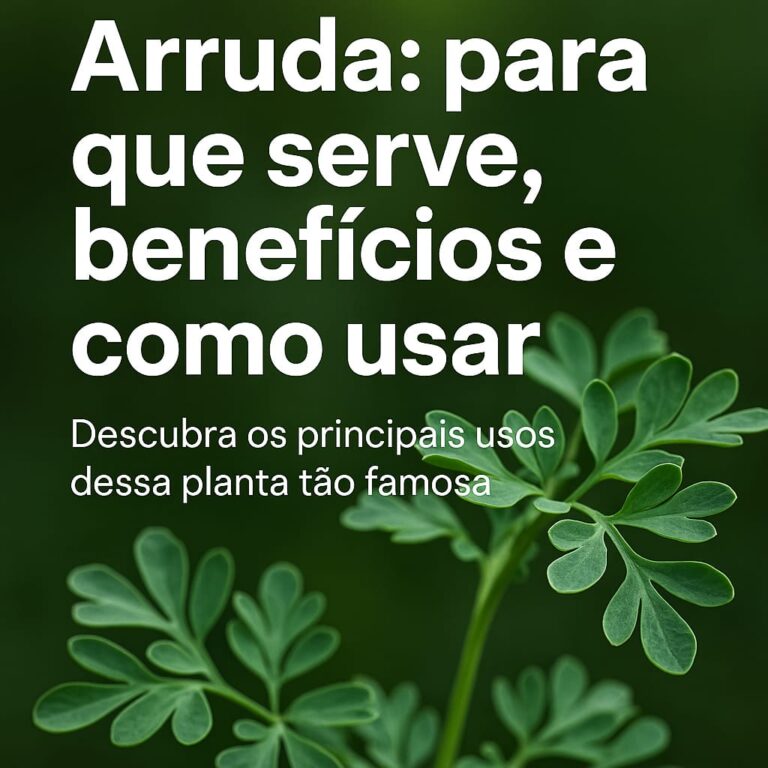 arruda: para que serve, beneficios e como usar