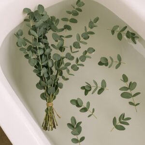 Fotografia de uma banheira rústica com água morna e folhas de eucalipto flutuando, simbolizando um banho natural para renovação, vitalidade e limpeza energética.